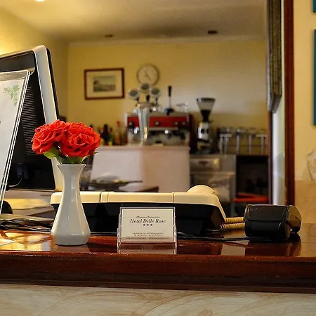 Hotel Delle Rose 3*